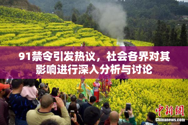 91禁令引发热议，社会各界对其影响进行深入分析与讨论