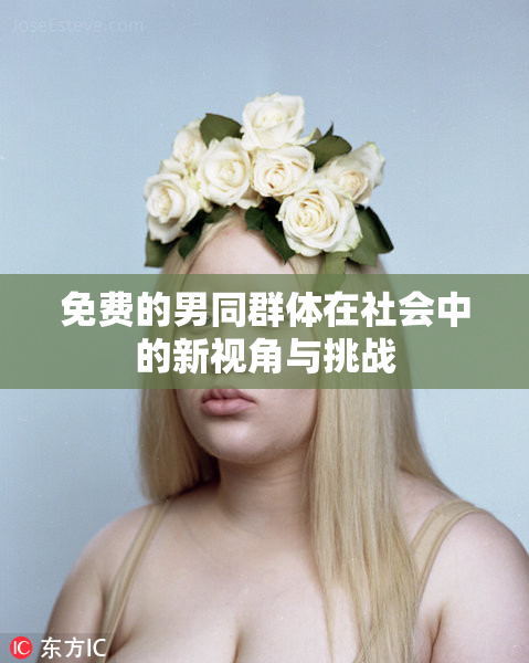 免费的男同群体在社会中的新视角与挑战