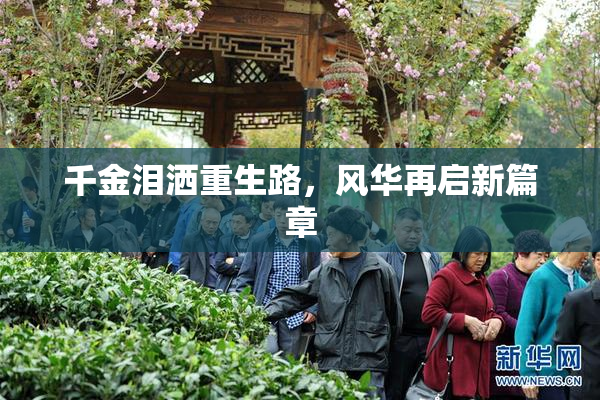 千金泪洒重生路，风华再启新篇章