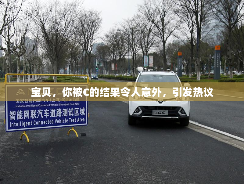 宝贝，你被C的结果令人意外，引发热议