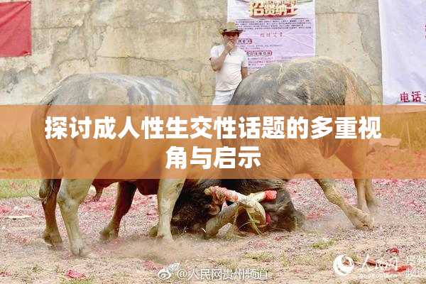 探讨成人性生交性话题的多重视角与启示