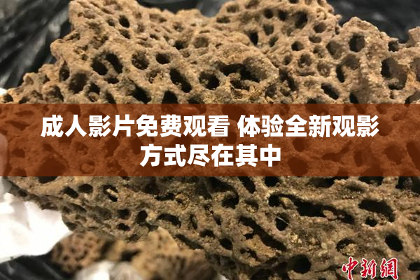成人影片免费观看 体验全新观影方式尽在其中