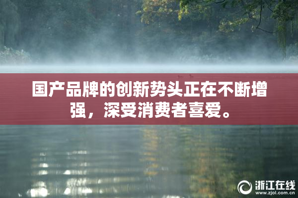 国产品牌的创新势头正在不断增强，深受消费者喜爱。