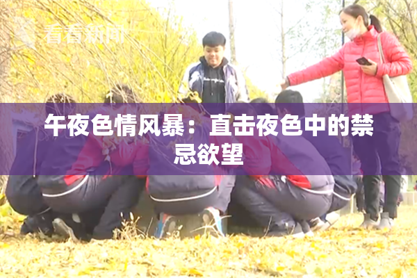 午夜色情风暴：直击夜色中的禁忌欲望