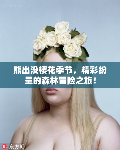 熊出没樱花季节，精彩纷呈的森林冒险之旅！