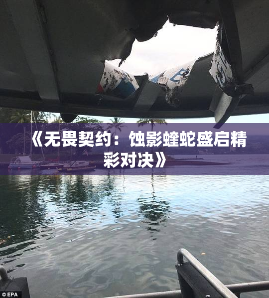 《无畏契约：蚀影蝰蛇盛启精彩对决》