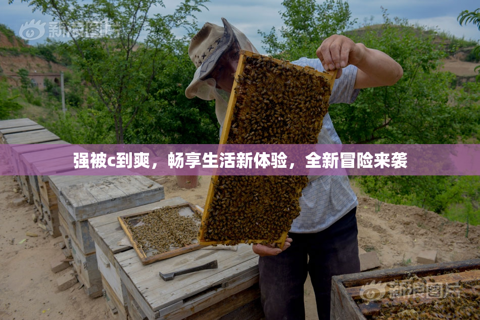 强被c到爽，畅享生活新体验，全新冒险来袭