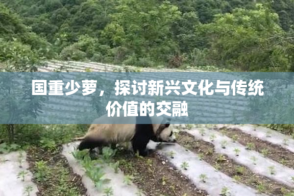 国重少萝，探讨新兴文化与传统价值的交融