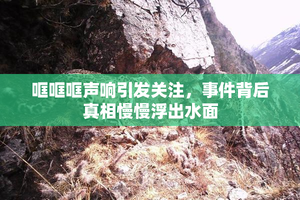 哐哐哐声响引发关注，事件背后真相慢慢浮出水面