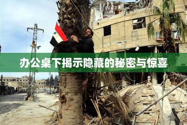 办公桌下揭示隐藏的秘密与惊喜