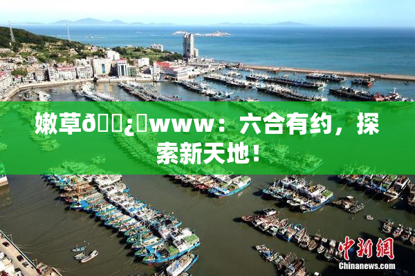 嫩草🌿‌www：六合有约，探索新天地！