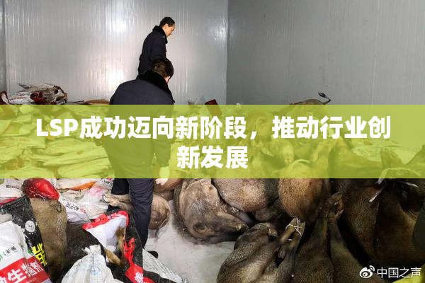 LSP成功迈向新阶段，推动行业创新发展