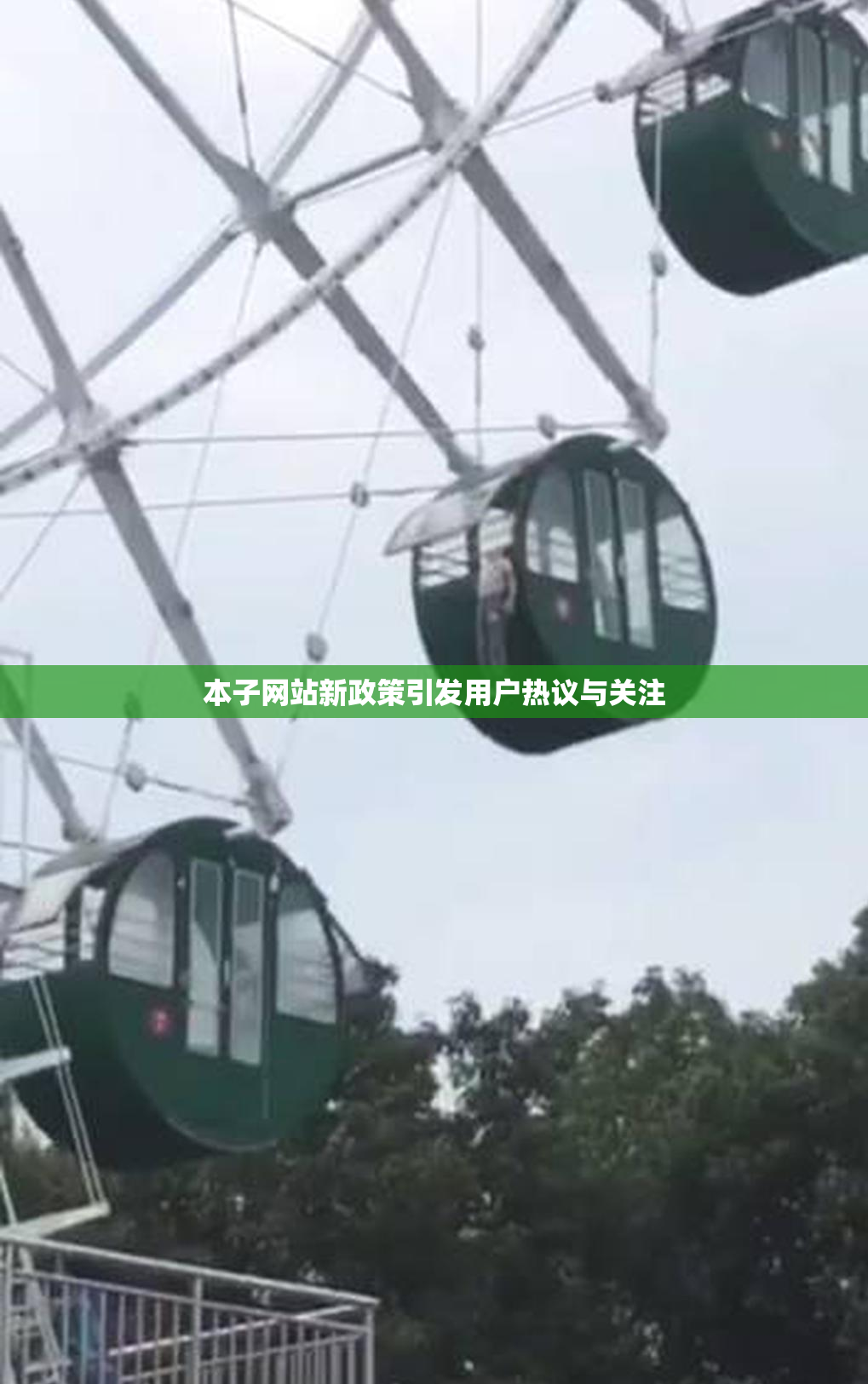 本子网站新政策引发用户热议与关注