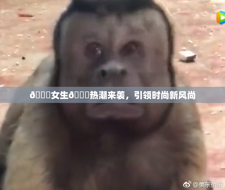 🔞女生🍆热潮来袭，引领时尚新风尚