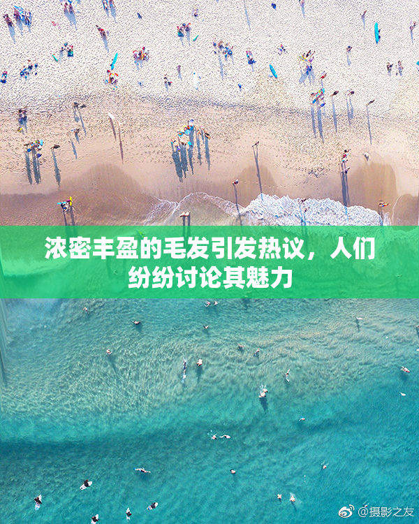 浓密丰盈的毛发引发热议，人们纷纷讨论其魅力