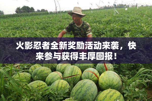 火影忍者全新奖励活动来袭，快来参与获得丰厚回报！
