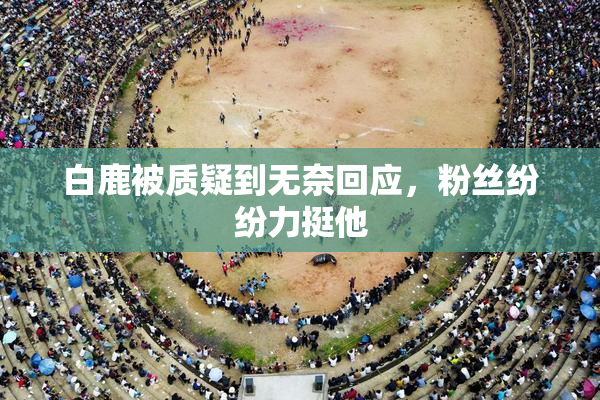 白鹿被质疑到无奈回应，粉丝纷纷力挺他