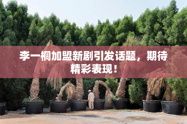 李一桐加盟新剧引发话题，期待精彩表现！