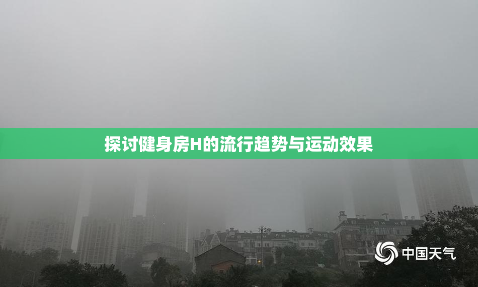 探讨健身房H的流行趋势与运动效果