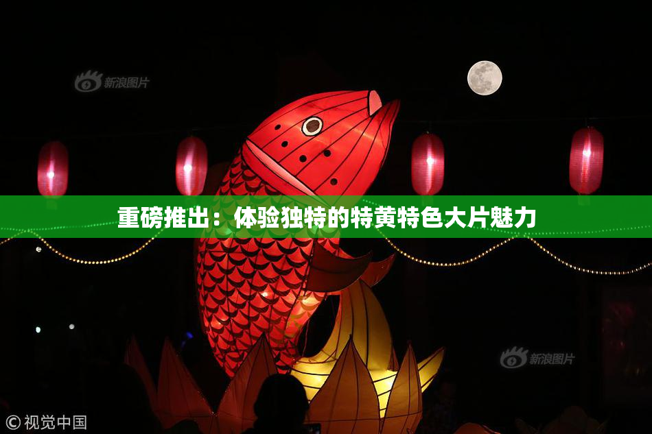 重磅推出：体验独特的特黄特色大片魅力