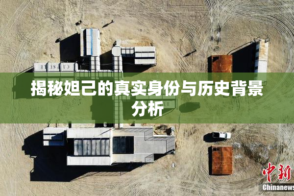 揭秘妲己的真实身份与历史背景分析