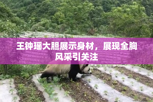 王钟瑶大胆展示身材，展现全胸风采引关注