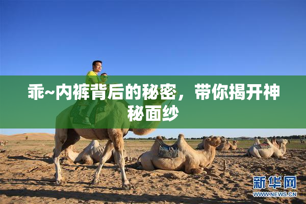 乖~内裤背后的秘密，带你揭开神秘面纱