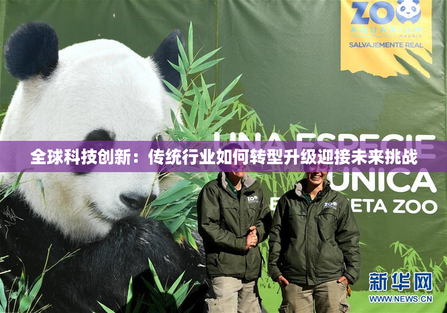 全球科技创新：传统行业如何转型升级迎接未来挑战