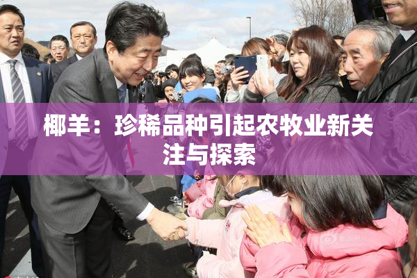椰羊：珍稀品种引起农牧业新关注与探索