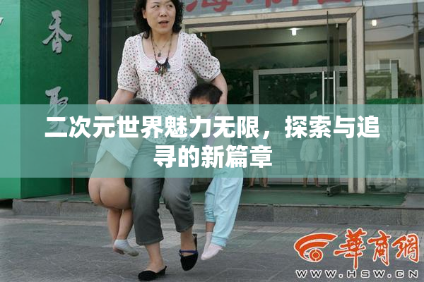 二次元世界魅力无限，探索与追寻的新篇章