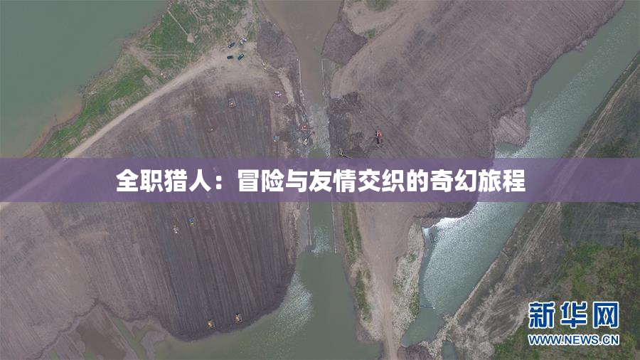 全职猎人：冒险与友情交织的奇幻旅程