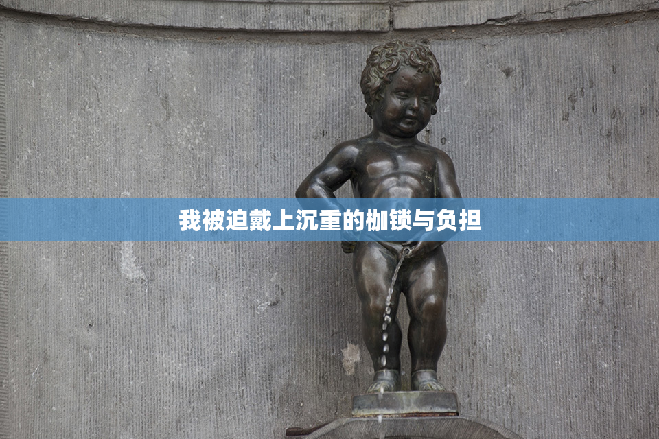 我被迫戴上沉重的枷锁与负担