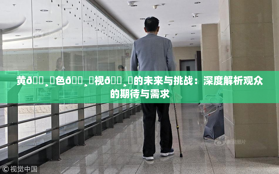 黄🌸‌色🌸‌视🌸‌的未来与挑战：深度解析观众的期待与需求