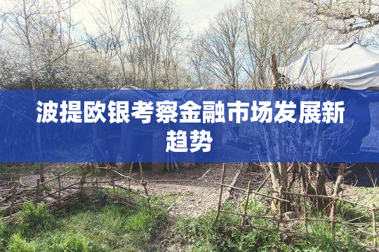 波提欧银考察金融市场发展新趋势