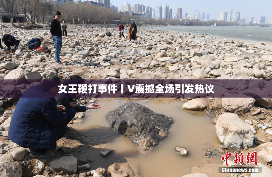 女王鞭打事件丨V震撼全场引发热议