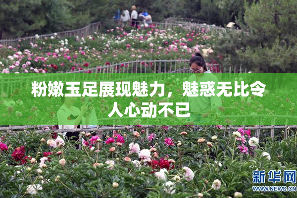 粉嫩玉足展现魅力，魅惑无比令人心动不已