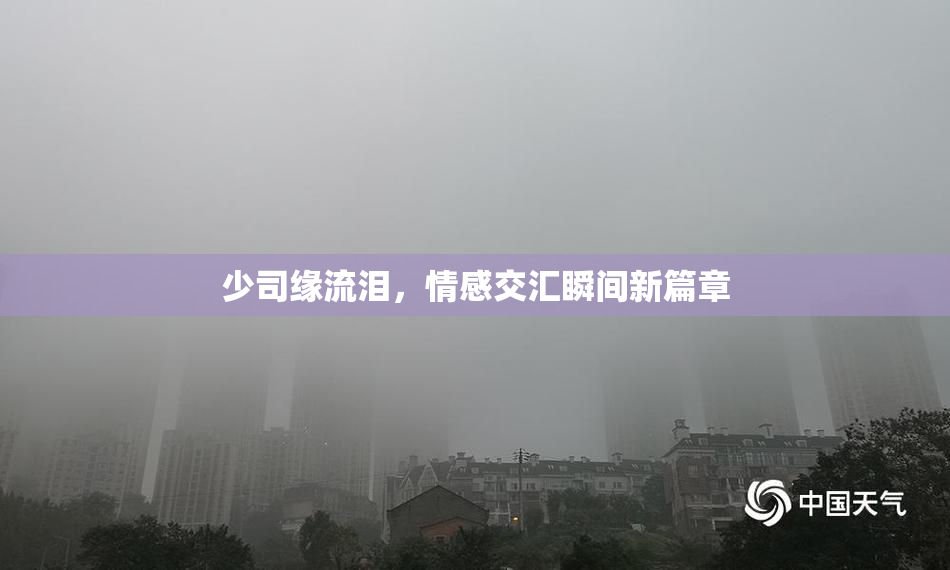 少司缘流泪，情感交汇瞬间新篇章