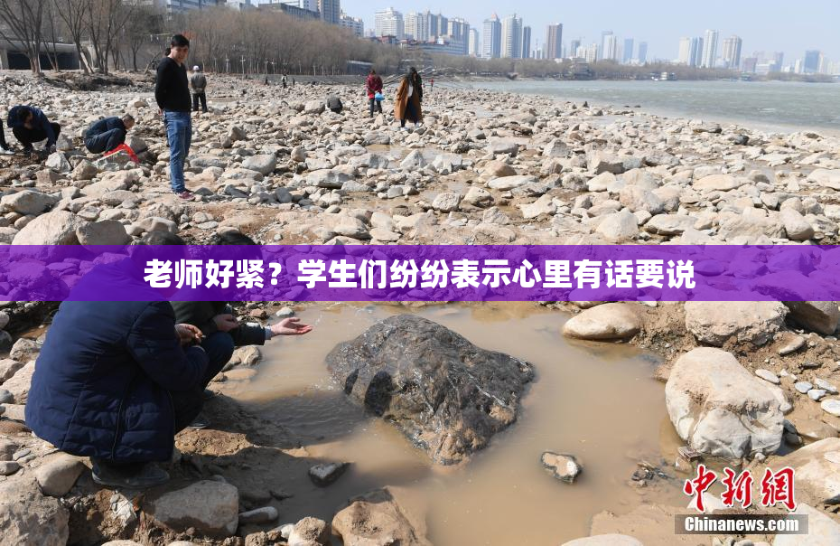 老师好紧？学生们纷纷表示心里有话要说