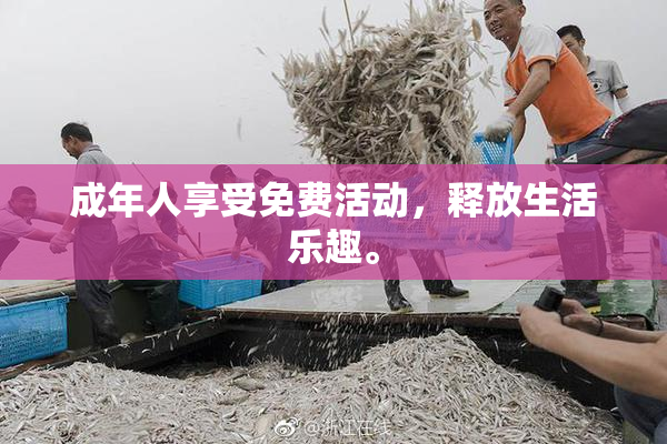 成年人享受免费活动，释放生活乐趣。