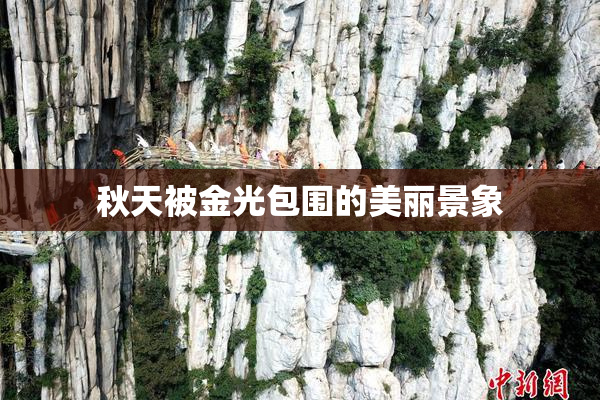 秋天被金光包围的美丽景象