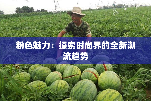 粉色魅力：探索时尚界的全新潮流趋势
