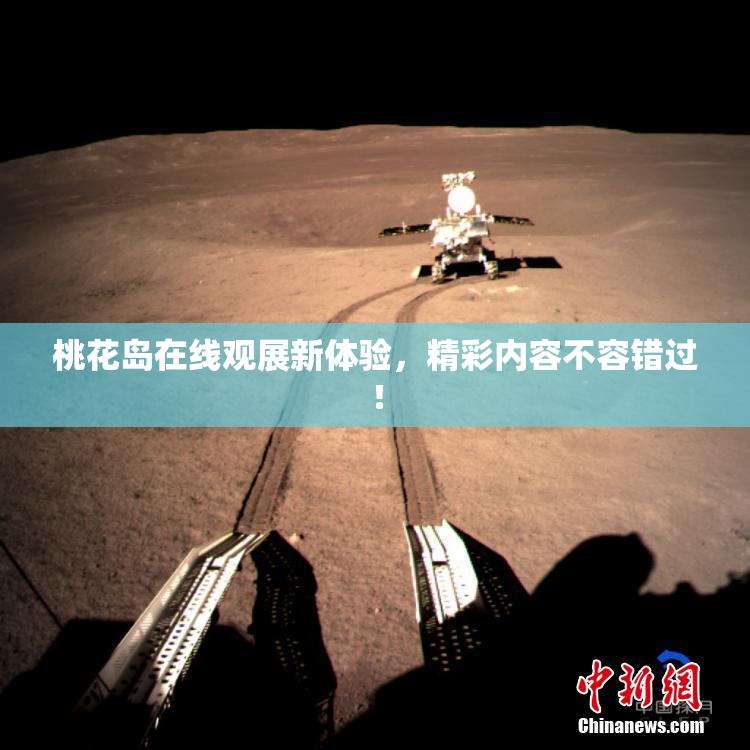 桃花岛在线观展新体验，精彩内容不容错过！