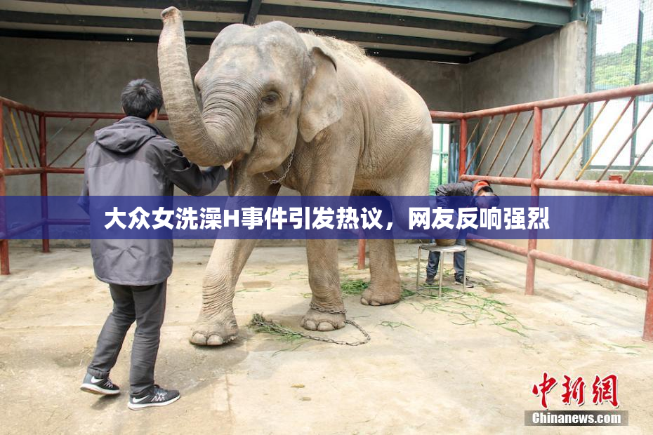 大众女洗澡H事件引发热议，网友反响强烈