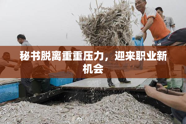 秘书脱离重重压力，迎来职业新机会