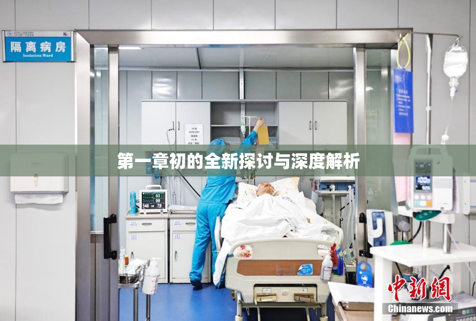 第一章初的全新探讨与深度解析