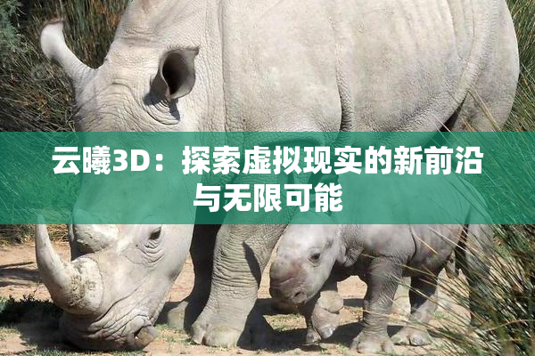 云曦3D：探索虚拟现实的新前沿与无限可能