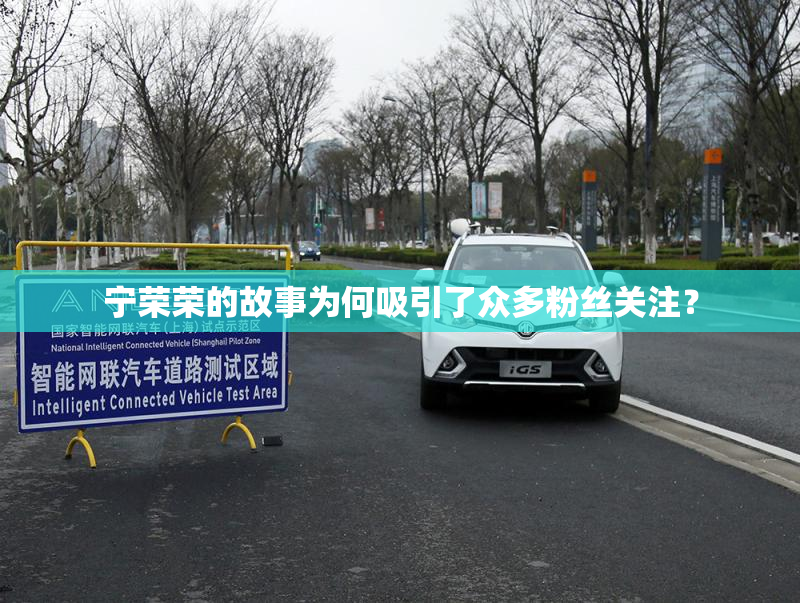 宁荣荣的故事为何吸引了众多粉丝关注？