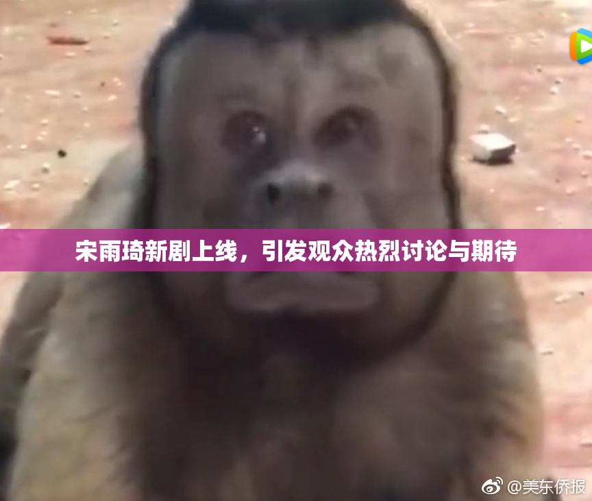 宋雨琦新剧上线，引发观众热烈讨论与期待