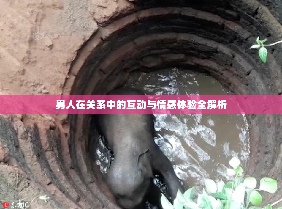 男人在关系中的互动与情感体验全解析