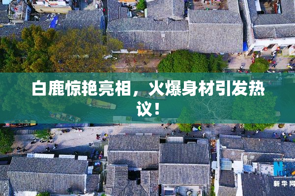 白鹿惊艳亮相，火爆身材引发热议！